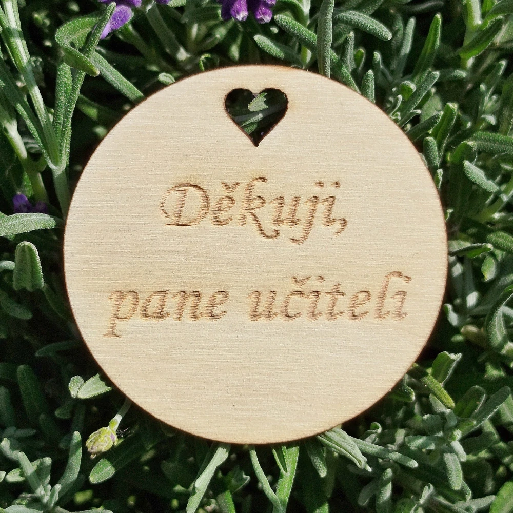 Dřevěná placka - kolečko 5 cm - Děkuji pane učiteli